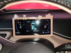 BYD Seagull Glory Edition 405km Flying Edition - ფოტო 12