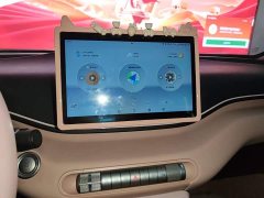 BYD Seagull Glory Edition 405km Flying Edition - ფოტო 13