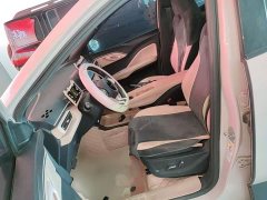 BYD Seagull Glory Edition 405km Flying Edition - ფოტო 15