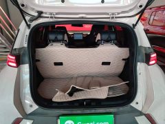 BYD Seagull Glory Edition 405km Flying Edition - ფოტო 19