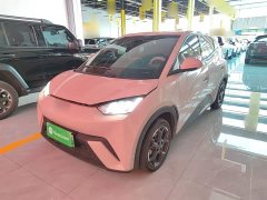 BYD Seagull Glory Edition 405km Flying Edition - ფოტო 2