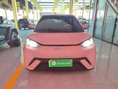 BYD Seagull Glory Edition 405km Flying Edition - ფოტო 3
