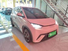 BYD Seagull Glory Edition 405km Flying Edition - ფოტო 4