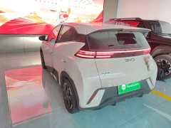 BYD Seagull Glory Edition 405km Flying Edition - ფოტო 5