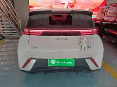 BYD Seagull Glory Edition 405km Flying Edition - ფოტო 6