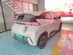 BYD Seagull Glory Edition 405km Flying Edition - ფოტო 7