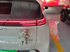 BYD Seagull Glory Edition 405km Flying Edition - ფოტო 8