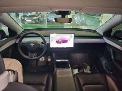 Tesla Model Y Rear-Wheel Drive - ფოტო 10