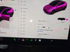 Tesla Model Y Rear-Wheel Drive - ფოტო 12