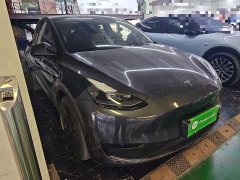 Tesla Model Y Rear-Wheel Drive - ფოტო 4