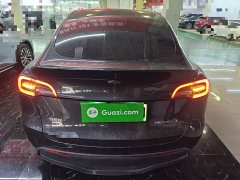 Tesla Model Y Rear-Wheel Drive - ფოტო 6