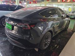 Tesla Model Y Rear-Wheel Drive - ფოტო 7