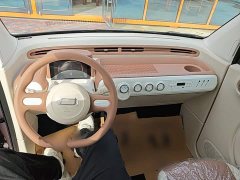 FAW Besturn Xiaoma 2026 222km Shining Edition - ფოტო 10