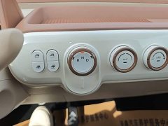 FAW Besturn Xiaoma 2026 222km Shining Edition - ფოტო 14