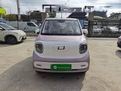 FAW Besturn Xiaoma 2026 222km Shining Edition - ფოტო 3