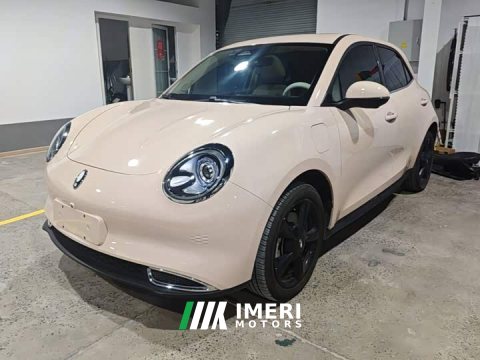 2024 ORA Good Cat 2023 401km Standard Range Luxury Trim Ternary Lithium Battery - ავტომობილი ჩინეთიდან