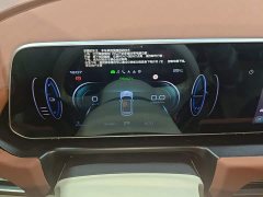 ORA Good Cat 2023 401km Standard Range Luxury Trim Ternary Lithium Battery - ფოტო 12