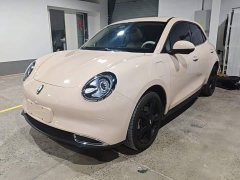 ORA Good Cat 2023 401km Standard Range Luxury Trim Ternary Lithium Battery - ფოტო 2