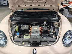 ORA Good Cat 2023 401km Standard Range Luxury Trim Ternary Lithium Battery - ფოტო 20