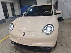 ORA Good Cat 2023 401km Standard Range Luxury Trim Ternary Lithium Battery - ფოტო 3