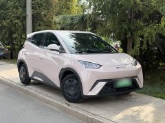 BYD Seagull Vitality Edition - ფოტო 10
