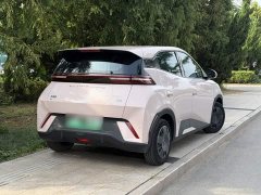 BYD Seagull Vitality Edition - ფოტო 15