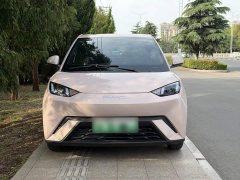 BYD Seagull Vitality Edition - ფოტო 16