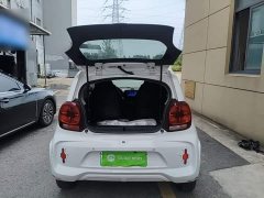 SAIC Corey Wei CLEVER 302km All-Purpose Edition - ფოტო 19