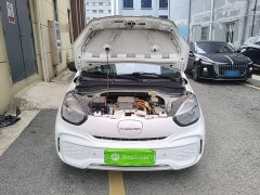 SAIC Corey Wei CLEVER 302km All-Purpose Edition - ფოტო 20