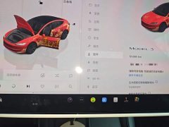 Tesla Model 3 Rear-Wheel Drive - ფოტო 12