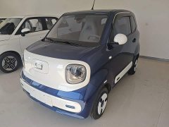 FAW Besturn Xiaoma 222km Dynamic Edition - ფოტო 2