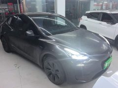 Tesla Model Y Rear-Wheel Drive - ფოტო 4