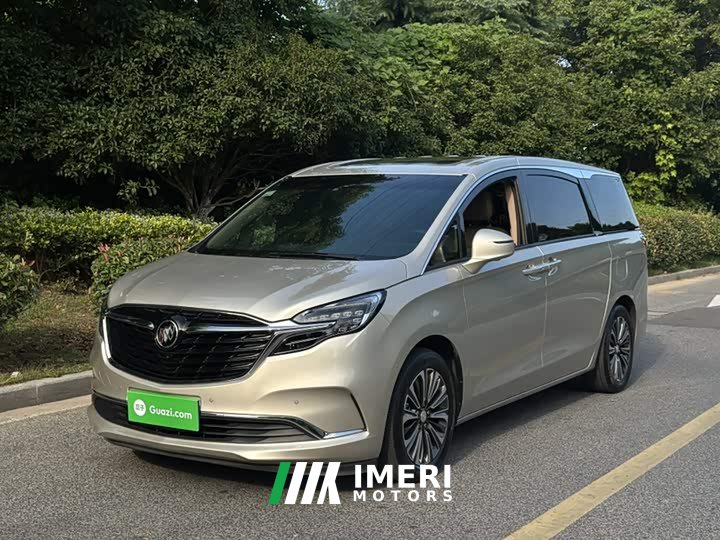 Buick GL8 ES Land Respect 653T Luxury - ავტომობილი ჩინეთიდან