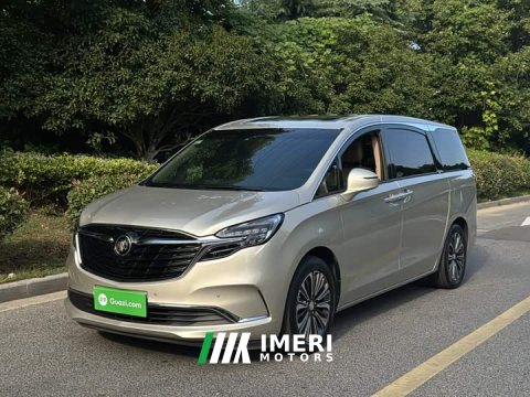 2021 Buick GL8 ES Land Respect 653T Luxury - ავტომობილი ჩინეთიდან