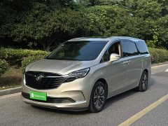 Buick GL8 ES Land Respect 653T Luxury - ფოტო 2
