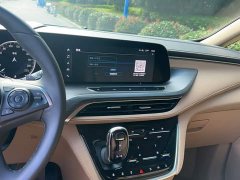 Buick GL8 ES Land Respect 653T Luxury - ფოტო 6