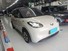 Wuling Binguo 333km Joy Edition - ფოტო 4