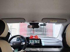 Changan Lumin 205km Xiangqin Edition - ფოტო 18