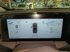 Leapmotor C11 Pure Electric 580 AWD Performance Edition - ფოტო 12