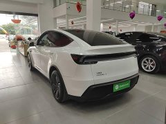 Tesla Model Y Rear-Wheel Drive - ფოტო 5