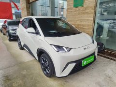 BYD Seagull 2024 Glory Edition 305km Freedom Version - ფოტო 4
