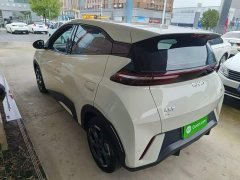 BYD Seagull 2024 Glory Edition 305km Freedom Version - ფოტო 5