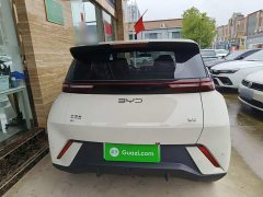 BYD Seagull 2024 Glory Edition 305km Freedom Version - ფოტო 6