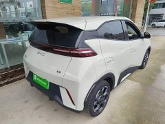 BYD Seagull 2024 Glory Edition 305km Freedom Version - ფოტო 7