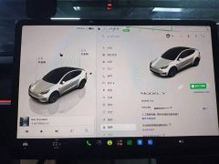 Tesla Model Y Rear-Wheel Drive - ფოტო 12