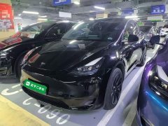 Tesla Model Y Rear-Wheel Drive - ფოტო 2