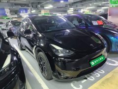 Tesla Model Y Rear-Wheel Drive - ფოტო 4