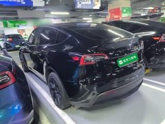 Tesla Model Y Rear-Wheel Drive - ფოტო 5