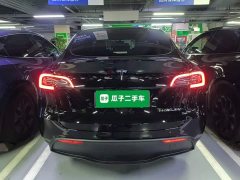 Tesla Model Y Rear-Wheel Drive - ფოტო 6