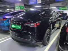 Tesla Model Y Rear-Wheel Drive - ფოტო 7